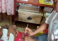 Paludisme au Cameroun : vaste campagne de prévention pour 1,5 million d&rsquo;enfants dans l&rsquo;Extrême-Nord