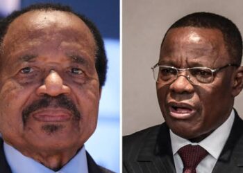 Recensement au Cameroun : une nouvelle prolongation pour combler les lacunes sur le terrain