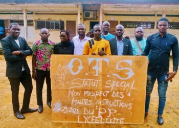 Recensement au Cameroun : une nouvelle prolongation pour combler les lacunes sur le terrain