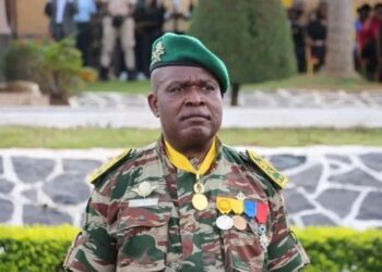 Recensement au Cameroun : une nouvelle prolongation pour combler les lacunes sur le terrain