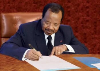 Recensement au Cameroun : une nouvelle prolongation pour combler les lacunes sur le terrain