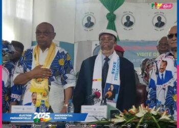 Recensement au Cameroun : une nouvelle prolongation pour combler les lacunes sur le terrain