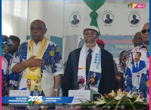 Recensement au Cameroun : une nouvelle prolongation pour combler les lacunes sur le terrain