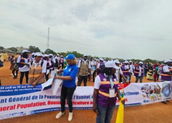 Recensement au Cameroun : une nouvelle prolongation pour combler les lacunes sur le terrain